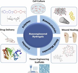 A repertoire of nanoengineered short peptide-based hydrogels and their applications in biotechnology