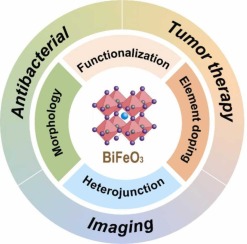 Ferrite bismuth-based nanomaterials: From ferroelectric and piezoelectric properties to nanomedicine applications