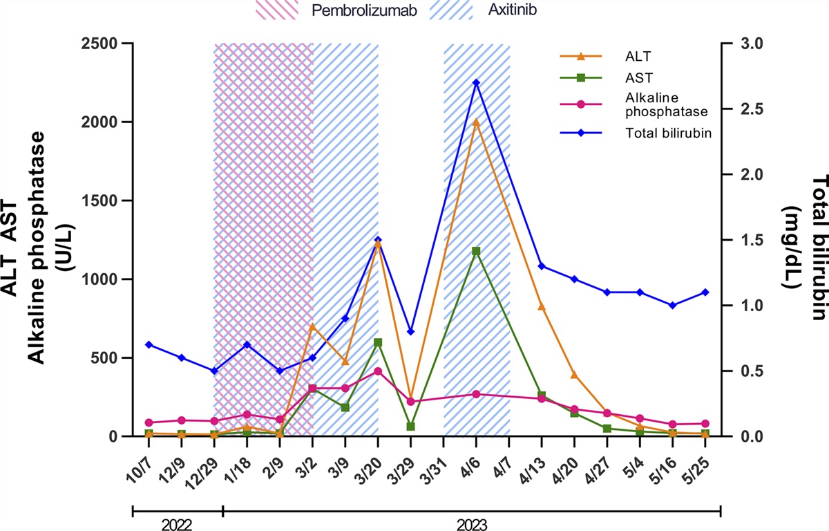 Beyond the Checkpoint: Severe Axitinib-induced Liver Injury
