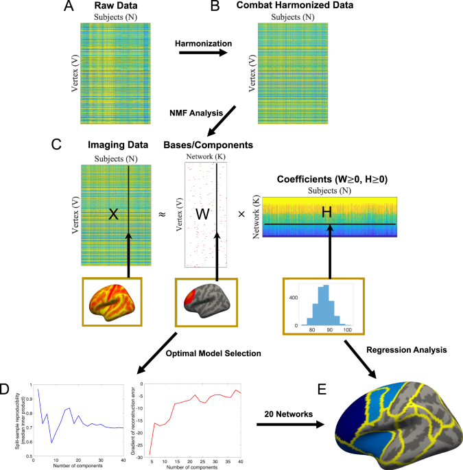 Examining the association between posttraumatic stress disorder and disruptions in cortical networks identified using data-driven methods
