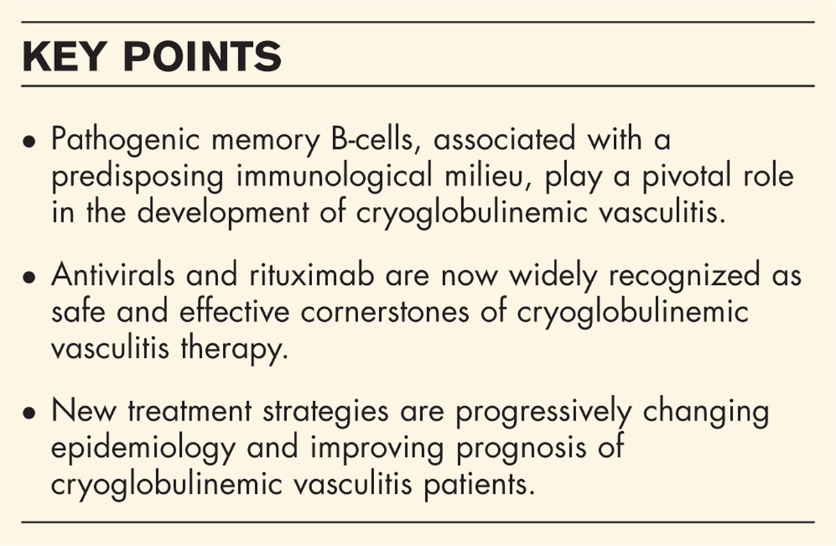 Cryoglobulinemic vasculitis: a 2023 update