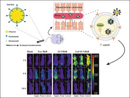 Enhanced intracellular accumulation and cytotoxicity of bortezomib against liver cancer cells using N-stearyl lactobionamide surface modified solid lipid nanoparticles