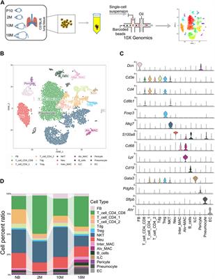 Deciphering the age-dependent changes of pulmonary fibroblasts in mice by single-cell transcriptomics