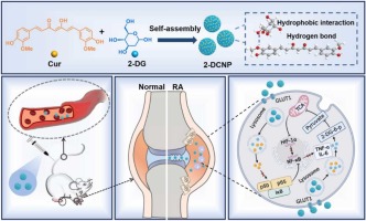 Carrier-free nanodrug targeting glucose metabolism for enhanced rheumatoid arthritis treatment