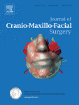 Bone regeneration in critical-size defects of the mandible using biomechanically adapted CAD/CAM hybrid scaffolds: An in vivo study in miniature pigs