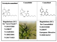 Regulation and control of the use of Cannabis and Cannabidiol in „novel foods”
