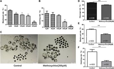 Methoxychlor induces oxidative stress and impairs early embryonic development in pigs