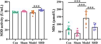Brain and serum metabolomic studies reveal therapeutic effects of san hua decoction in rats with ischemic stroke