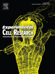 Cell death classification: A new insight based on molecular mechanisms